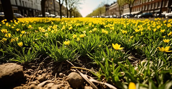 Où partir en avril : idées ensoleillées, villes et nature
