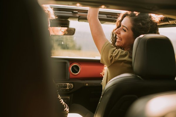 Quels sont les meilleurs itinéraires pour un road trip en Afrique du Sud ?